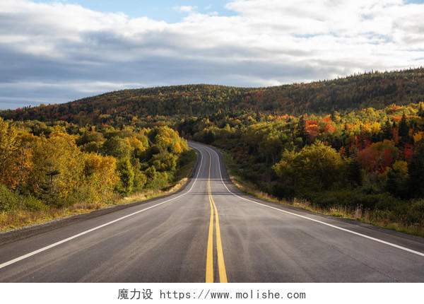 秋天午后的公路